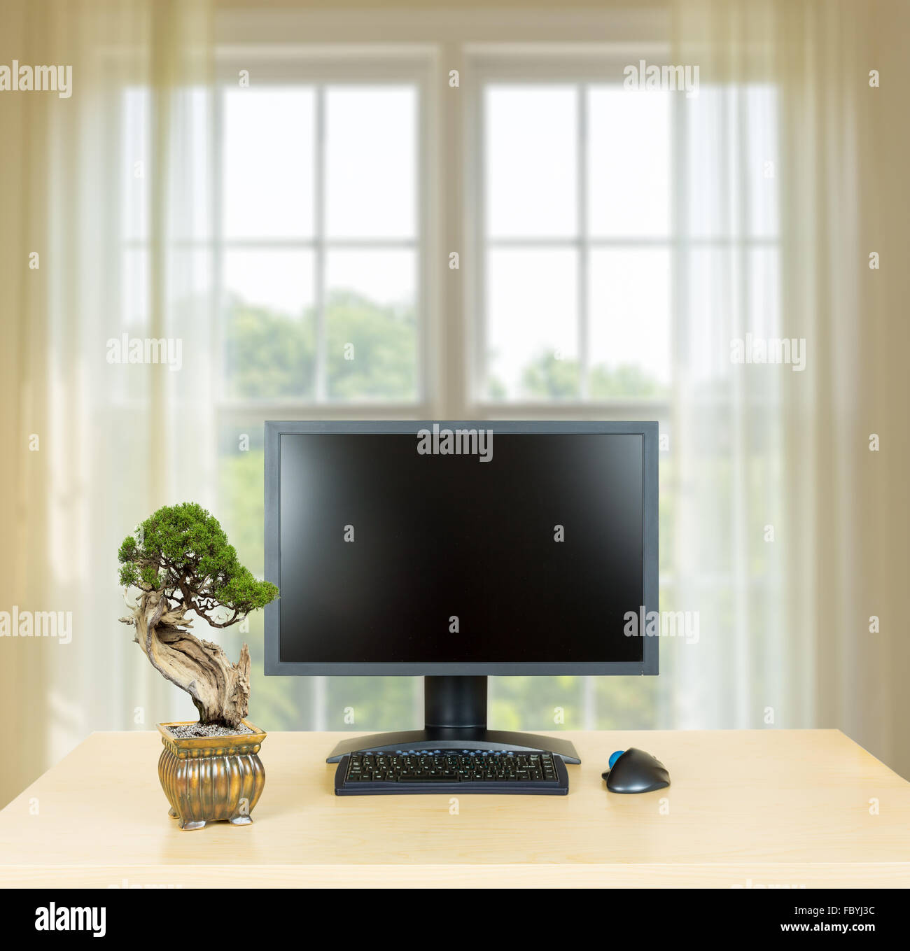 Petit arbre de bonzaies sur du bureau bureau avec moniteur Banque D'Images