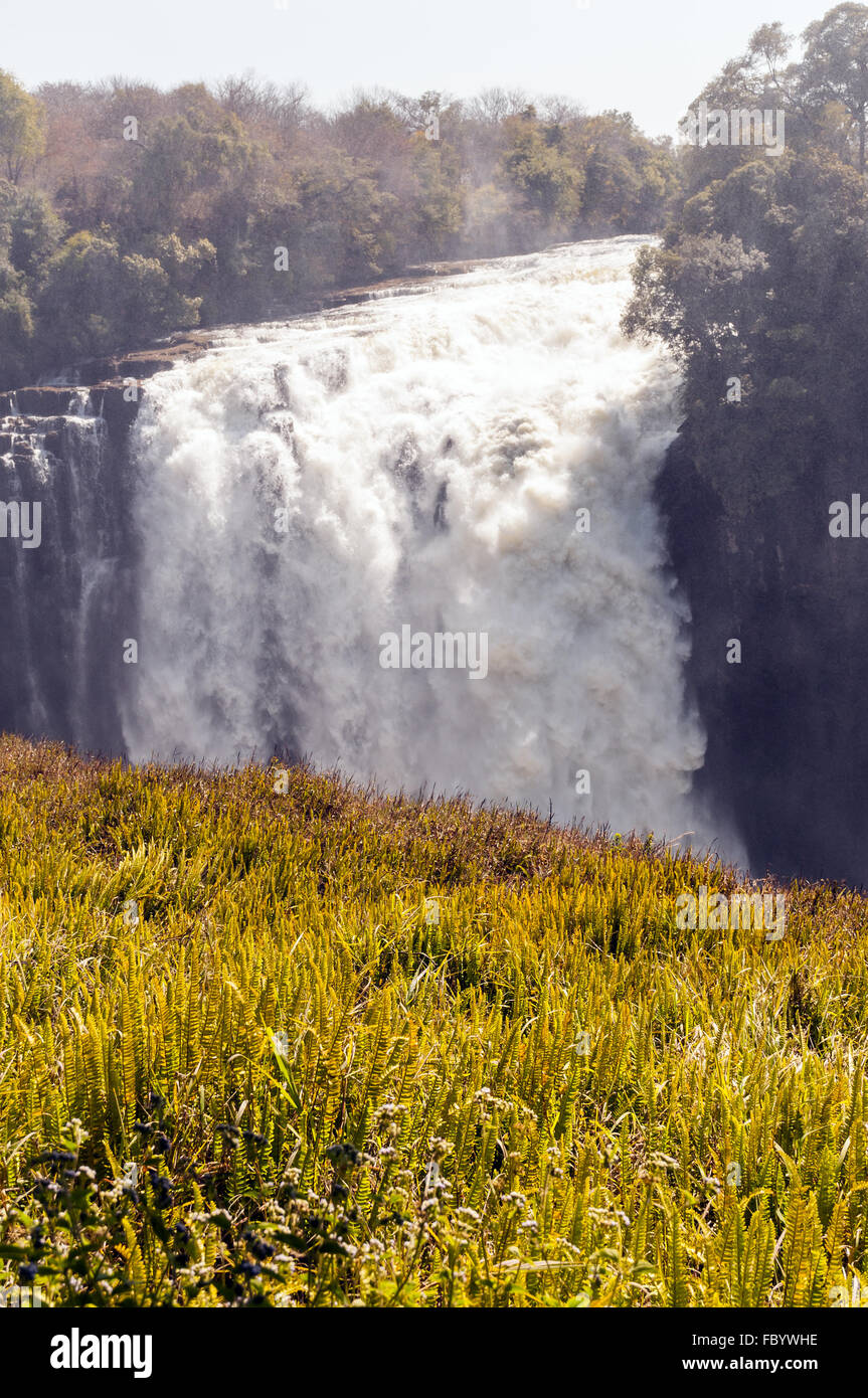 Victoria Falls - Devil's Cataract Banque D'Images