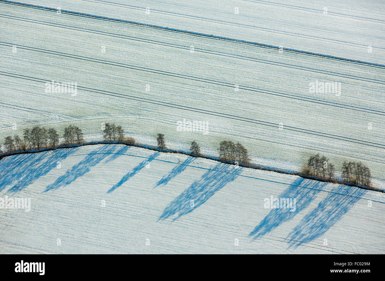 Vue aérienne, les champs de neige, Creek d'arbres et de grandes ombres dans la neige, hiver, neige, Werl, Rhénanie du Nord-Westphalie, Rhénanie-Palatinat, Banque D'Images