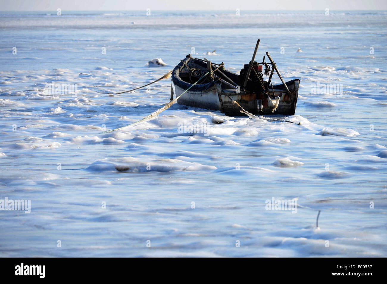 Qingdao, Shandong, CHN. 19 Jan, 2016. Qingdao, Chine - le 18 janvier 2016 : (usage éditorial uniquement. Chine OUT) L'épaisseur de la glace de mer est jusqu'à 5cm. © SIPA Asie/ZUMA/Alamy Fil Live News Banque D'Images