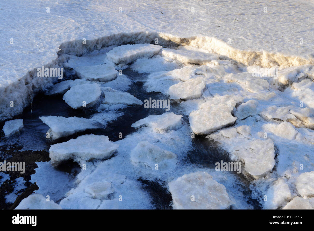 Qingdao, Shandong, CHN. 19 Jan, 2016. Qingdao, Chine - le 18 janvier 2016 : (usage éditorial uniquement. Chine OUT) L'épaisseur de la glace de mer est jusqu'à 5cm. © SIPA Asie/ZUMA/Alamy Fil Live News Banque D'Images