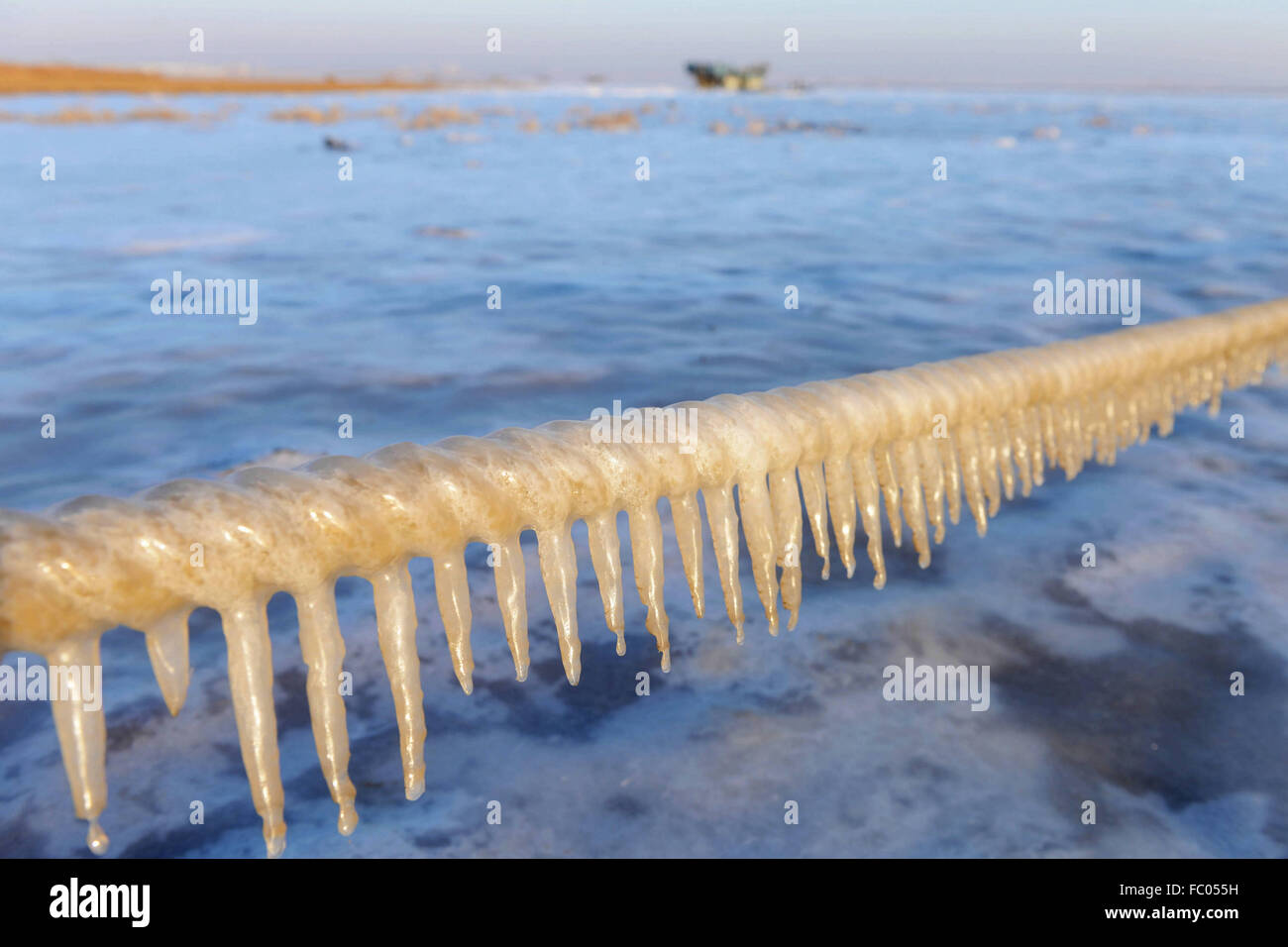 Qingdao, Shandong, CHN. 19 Jan, 2016. Qingdao, Chine - le 18 janvier 2016 : (usage éditorial uniquement. Chine OUT) L'épaisseur de la glace de mer est jusqu'à 5cm. © SIPA Asie/ZUMA/Alamy Fil Live News Banque D'Images