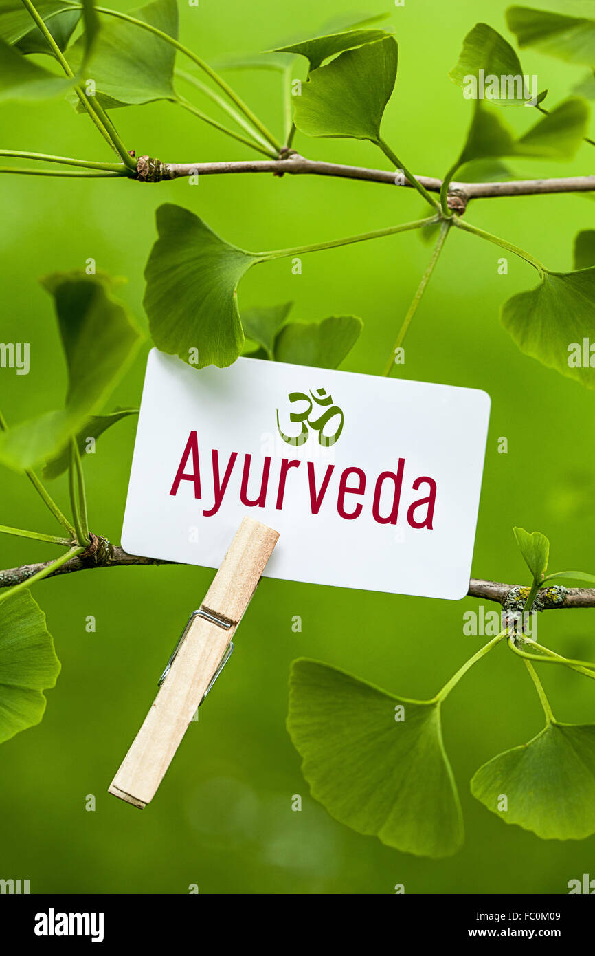 Le mot "Ayurveda" dans un arbre de ginkgo Banque D'Images