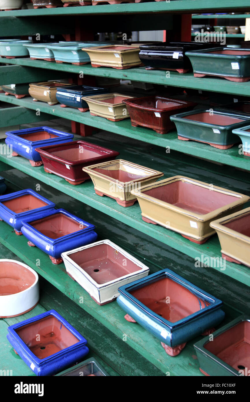 Bonsai pots de céramique à vendre Banque D'Images