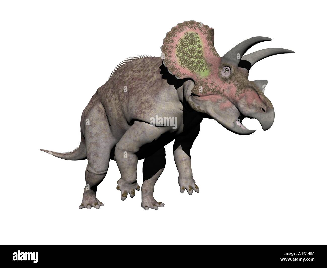 Dinosaure Triceratops 3d Render Photo Stock Alamy