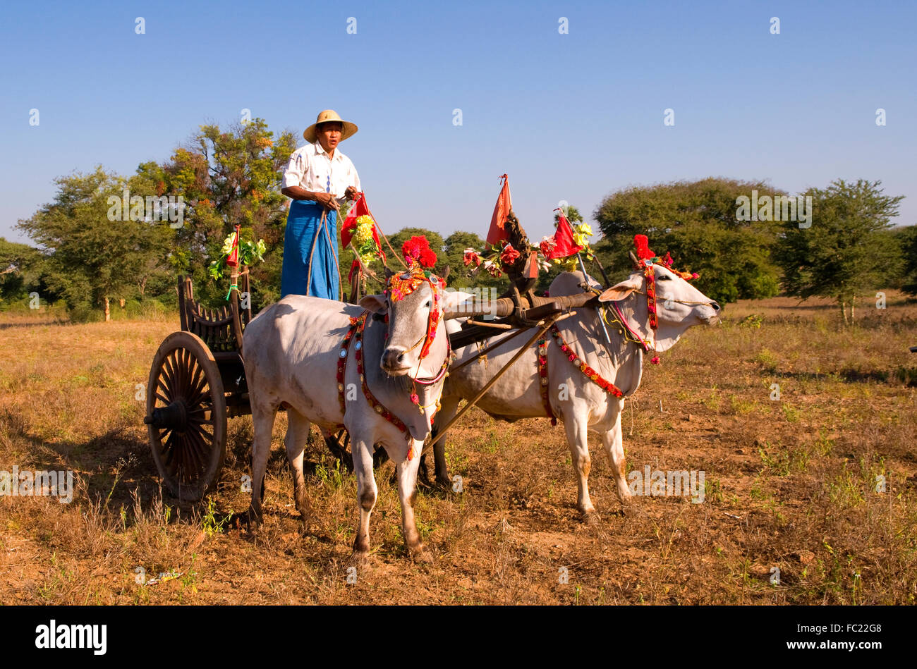 Panier de cérémonie décoré avec des vaches à Bagan, Myanmar Banque D'Images