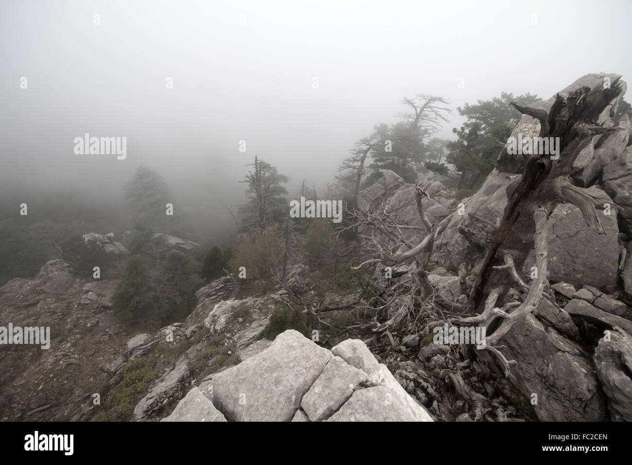 Au sommet de la montagne dans le brouillard Banque D'Images