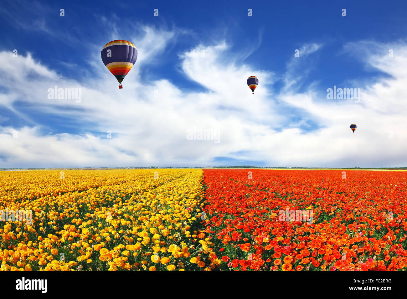Trois ballons survolant le domaine Banque D'Images