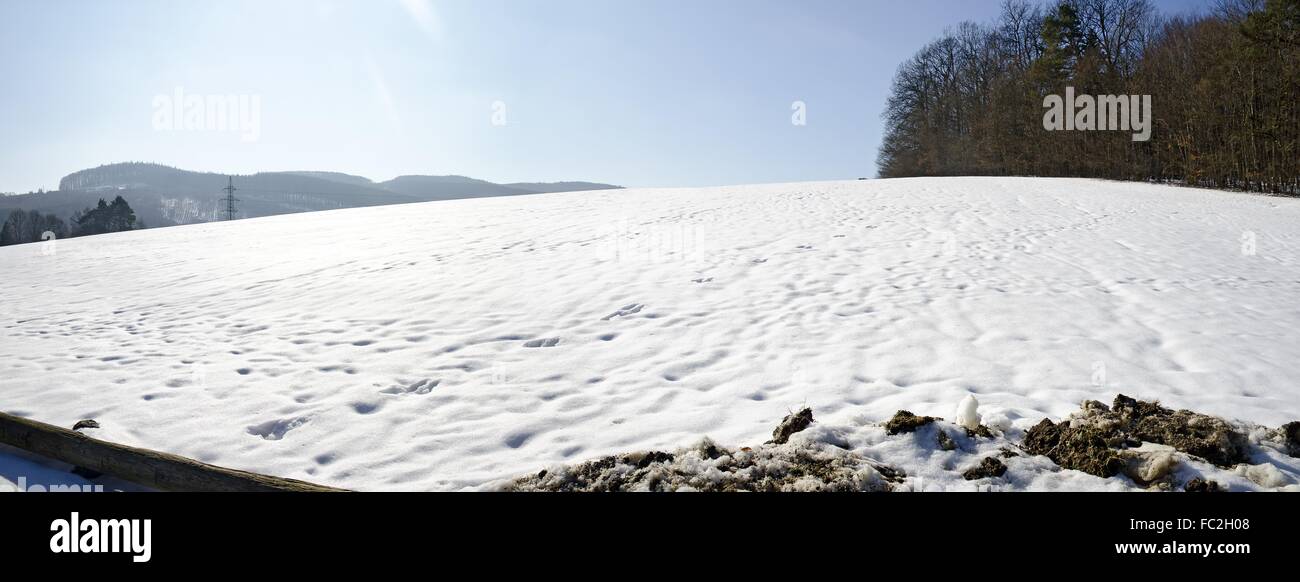 Neige de printemps sur un pâturage Banque D'Images