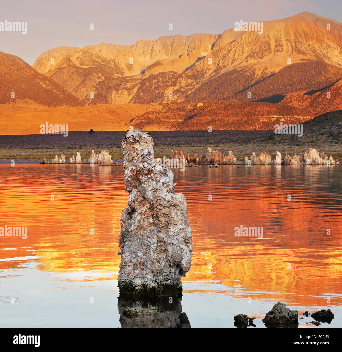 Le coucher du soleil, le lac Mono Banque D'Images