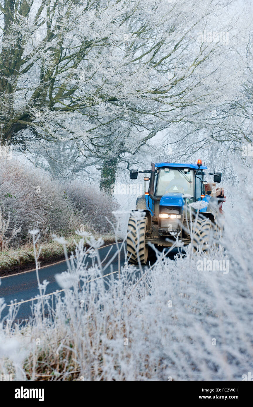 Builth Wells, Powys, Wales, UK. Le 20 janvier, 2016. Météo britannique. Un tracteur se déplace le long d'une route bordée d'arbres givrés près de Builth Wells, Powys, après une nuit avec des températures chutant à moins 5 degrés centigrades. Credit : Graham M. Lawrence/Alamy Live News. Banque D'Images