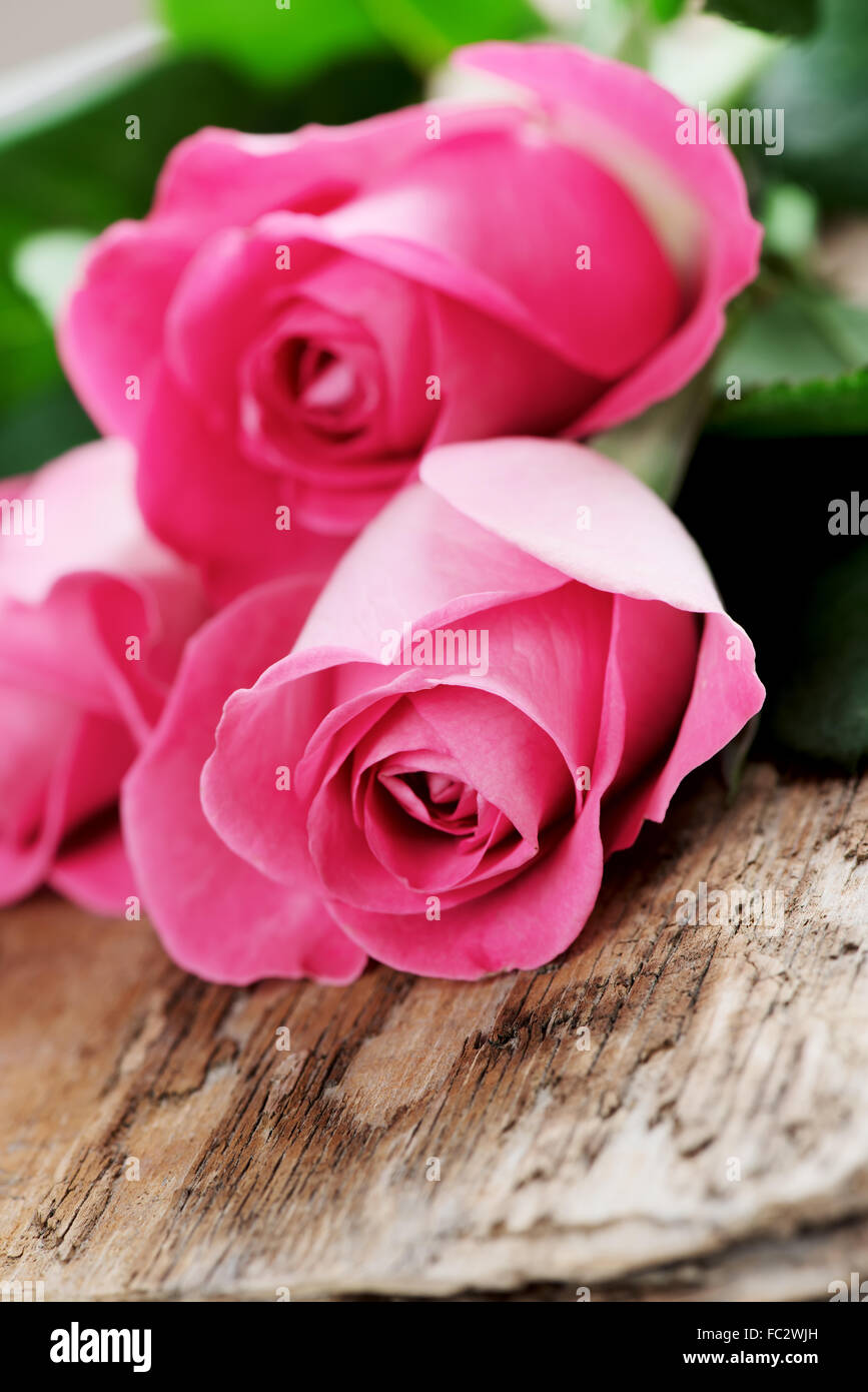 Le Buket de roses roses sur la surface en bois Banque D'Images