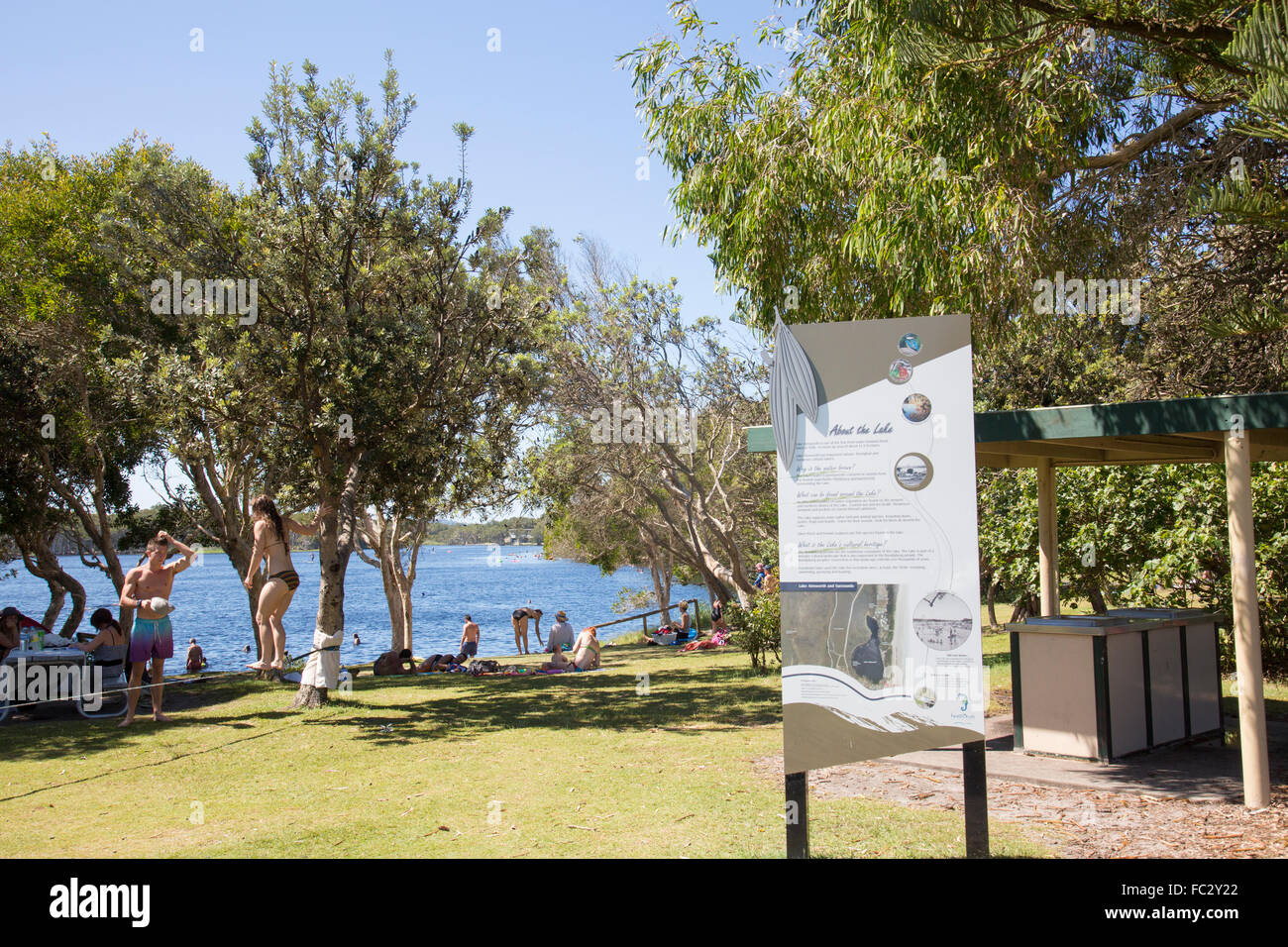 Lake Ainsworth, lac d'eau douce de Lennox Head sur la côte de Nouvelle-Galles du Sud, Australie Banque D'Images