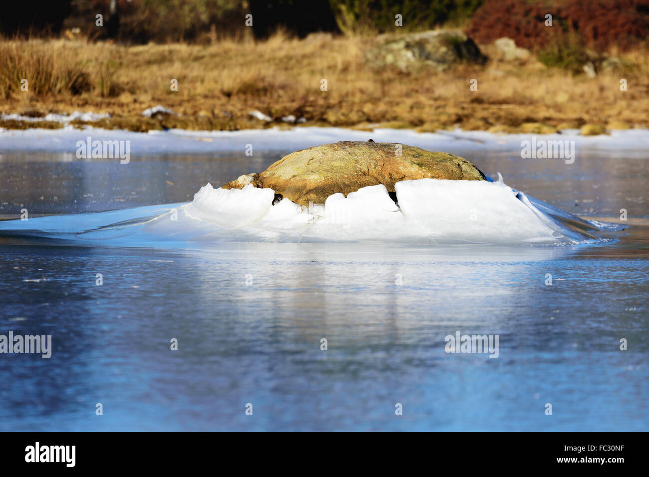 Un bloc de granite pousse à travers la surface de la glace comme le niveau de la glace s'abaisse. Cela forme une belle colline de glace autour de la pierre. Un parc naturel Banque D'Images