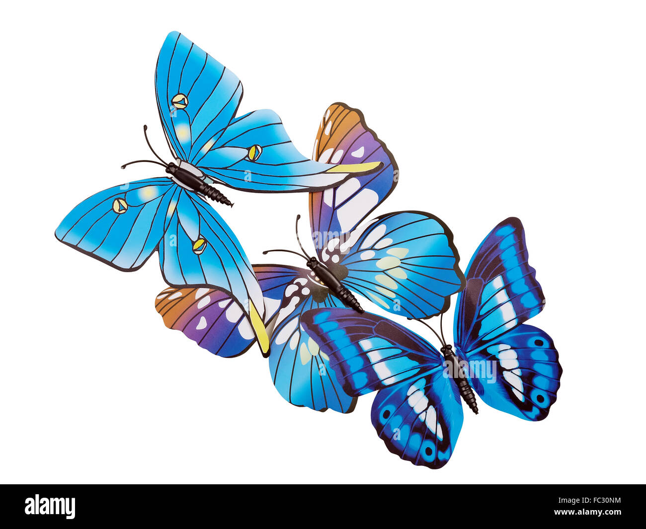 Les papillons mural isolé sur fond blanc Banque D'Images