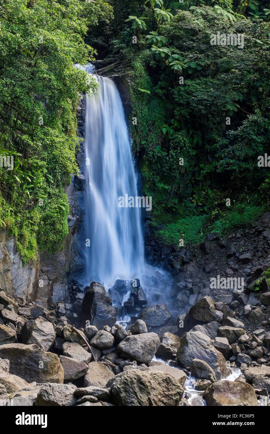 Trafalgar Falls Cascade Dominique Antilles Banque D'Images