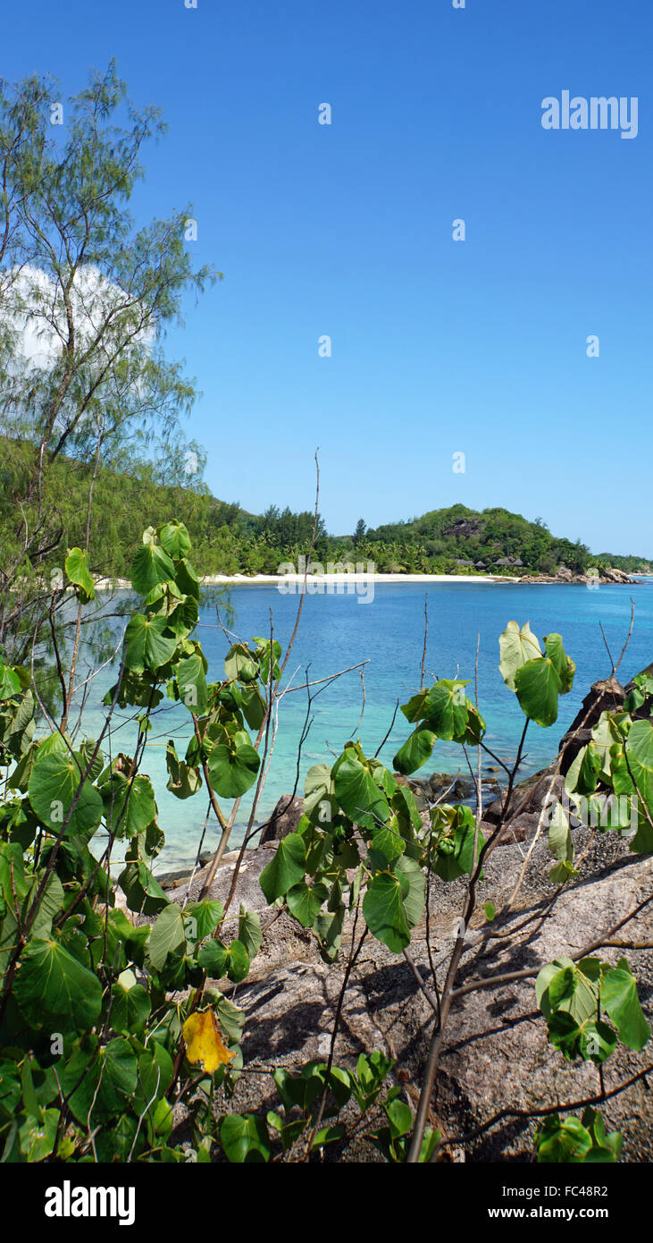 Tropical Bay de rochers Banque D'Images