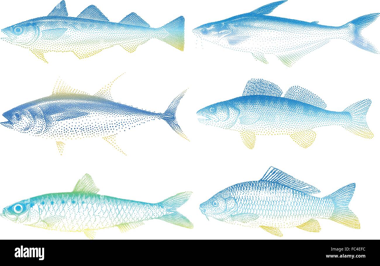 Poissons de mer, vector illustration Illustration de Vecteur