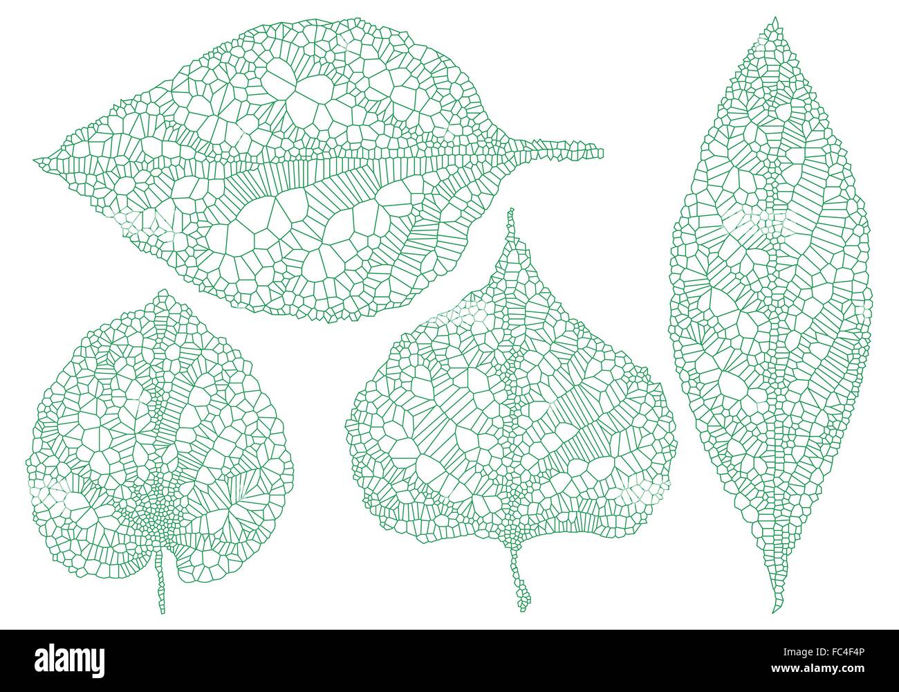 Veine verte feuilles, illustration dessinée à la main, vector set Illustration de Vecteur