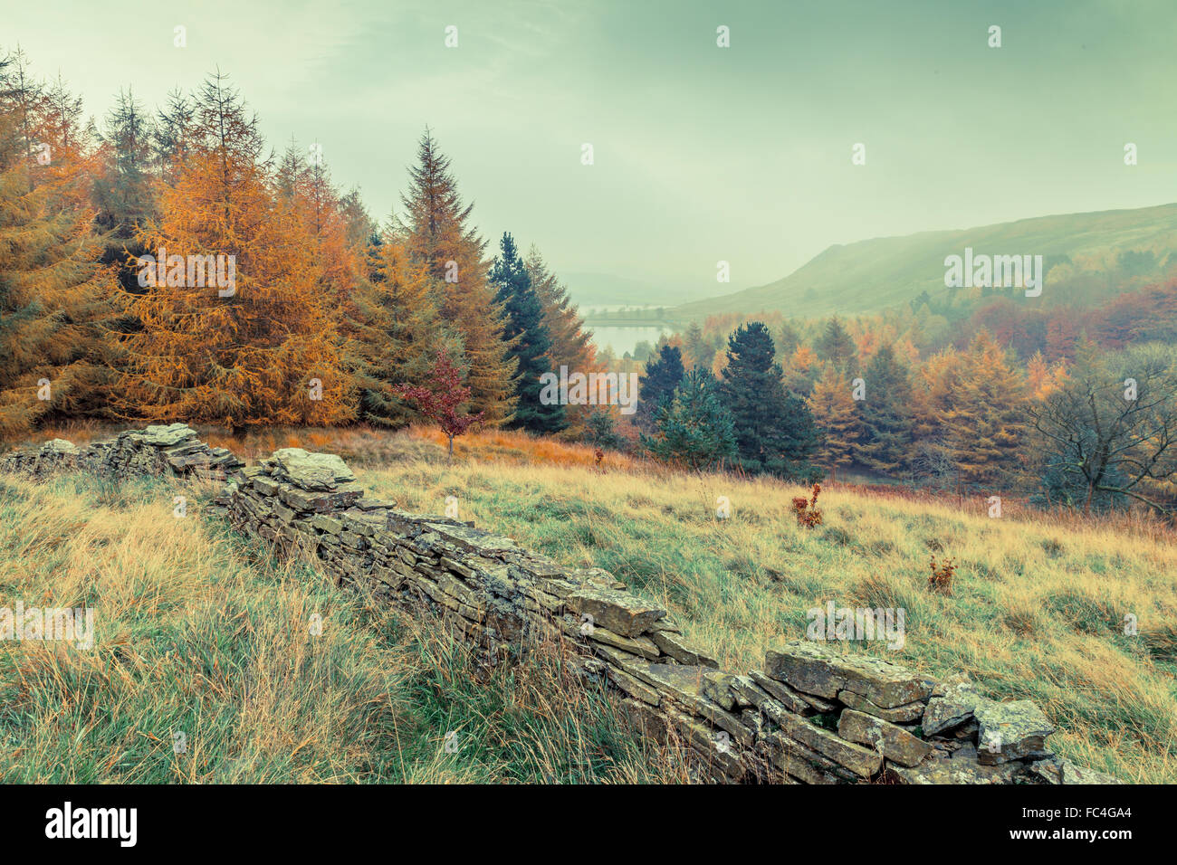 Paysage d'automne avec des arbres, un mur en pierre sèche, et un lac dans le brouillard en arrière-plan Banque D'Images