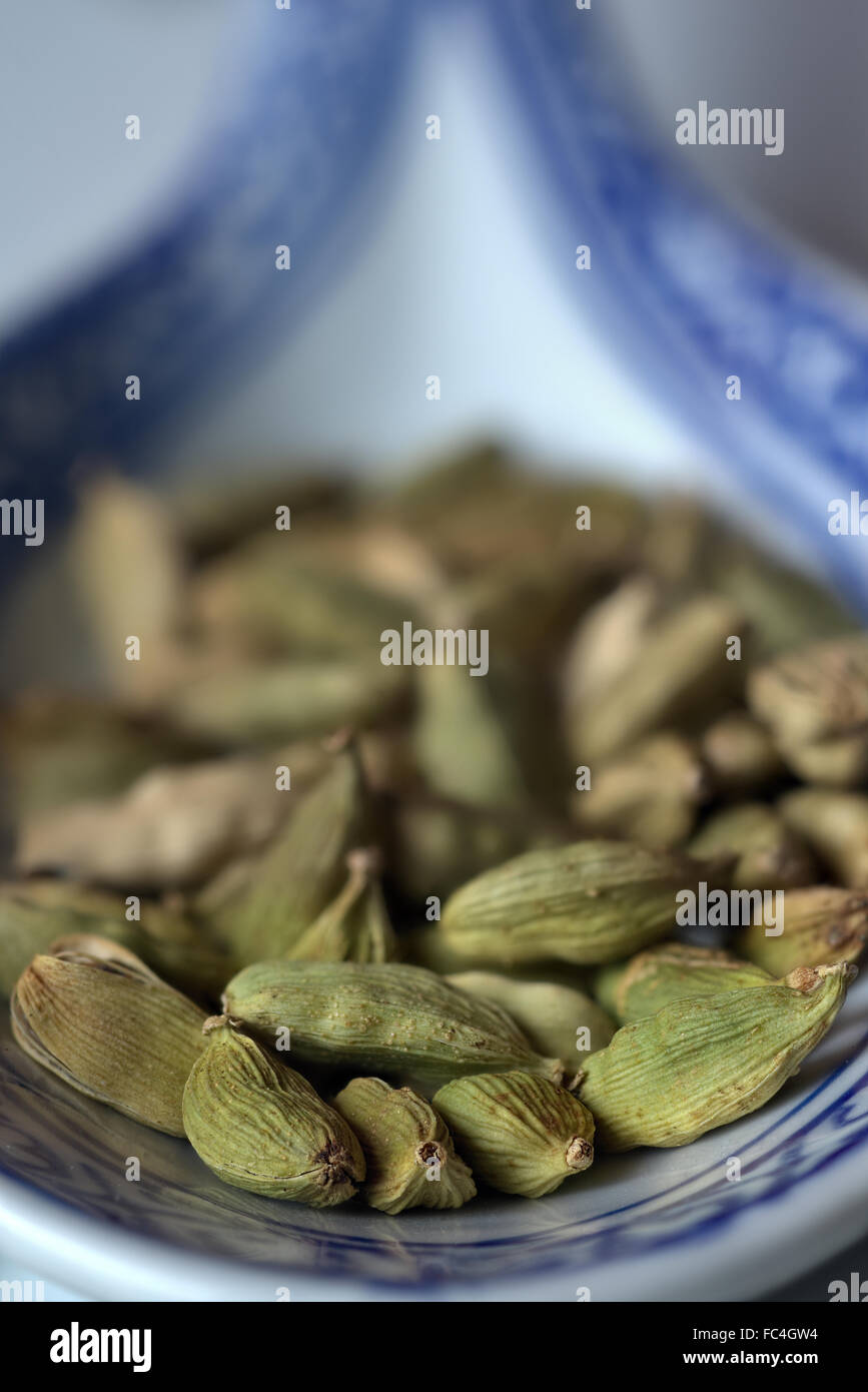 Les fruits séchés, la cardamome verte Banque D'Images