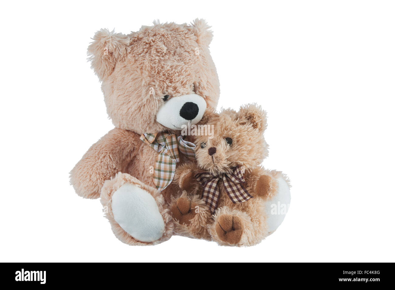 L'amitié - deux ours en peluche. Banque D'Images