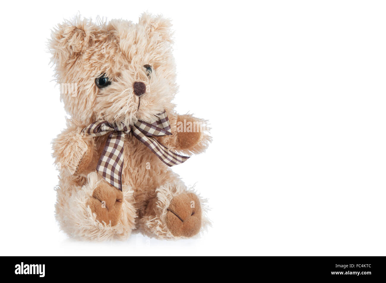 Teddy-bear toy isolé sur un fond blanc. Banque D'Images