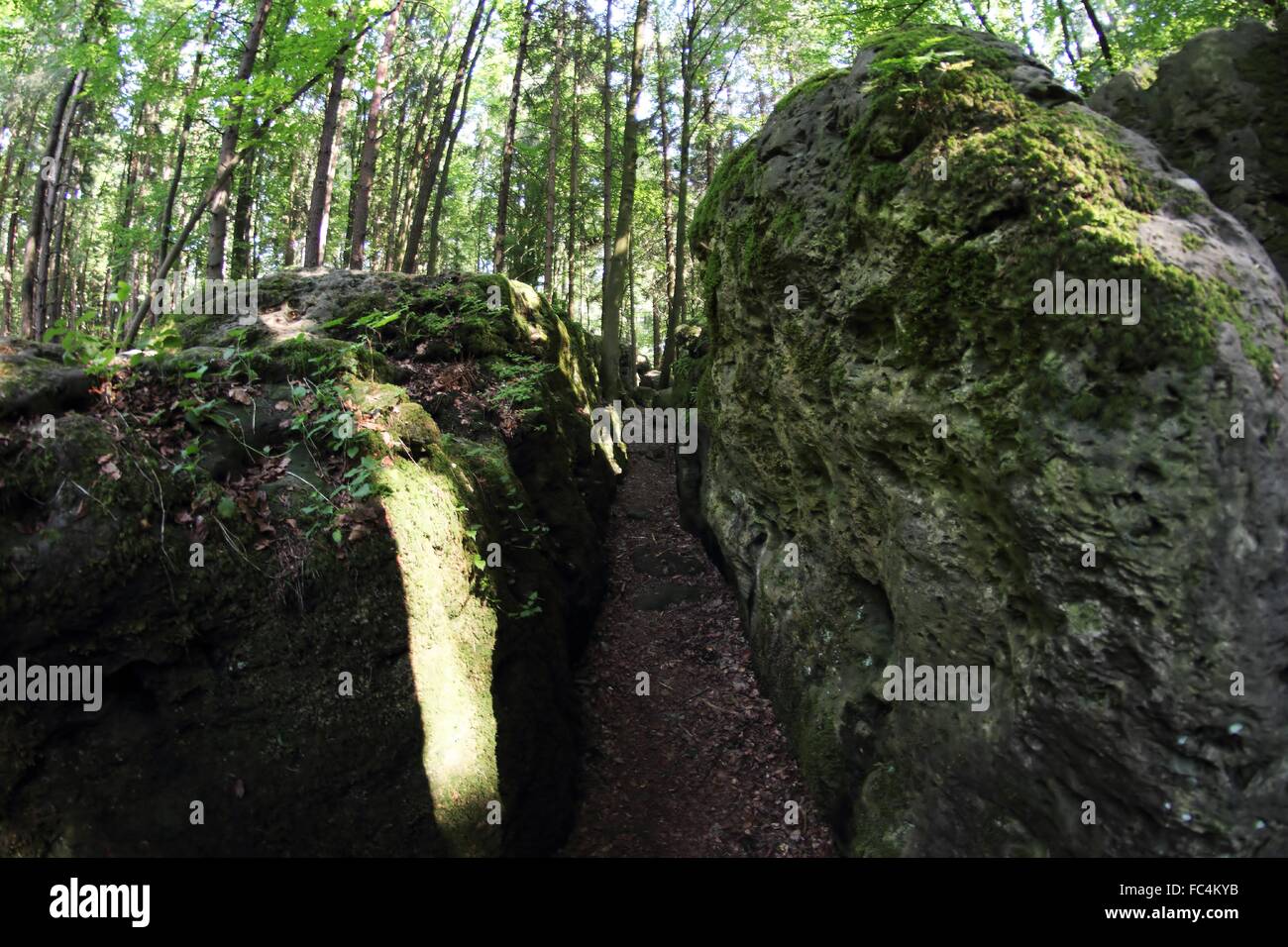 L'Druidenhain rochers à la cuisine de Franconie. Banque D'Images