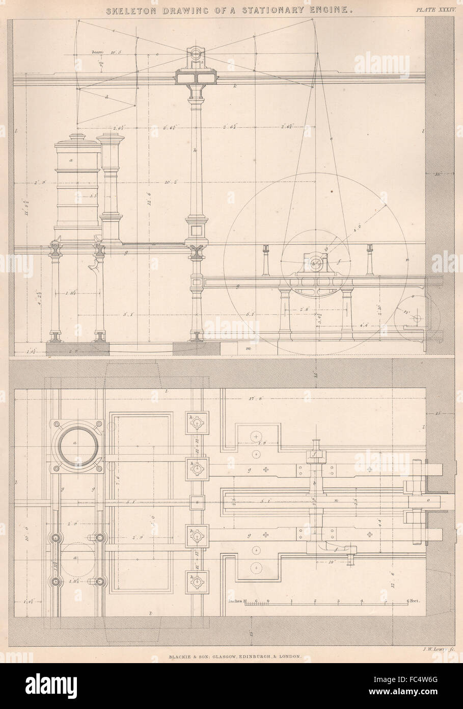 VICTORIAN DESSIN TECHNIQUE. Dessin d'un squelette à l'arrêt moteur, 1876 Banque D'Images