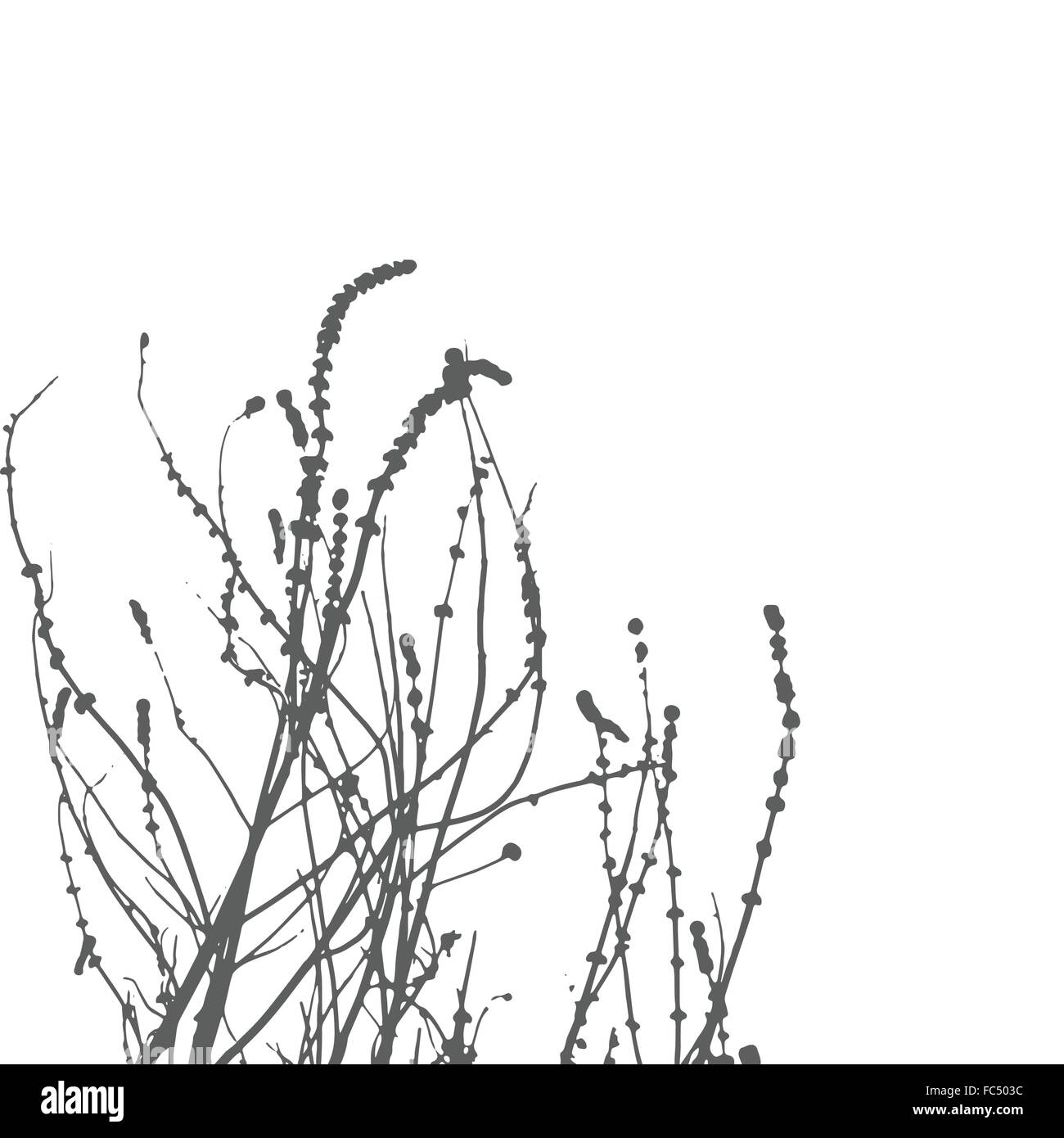 Vector herbes sauvages Illustration de Vecteur