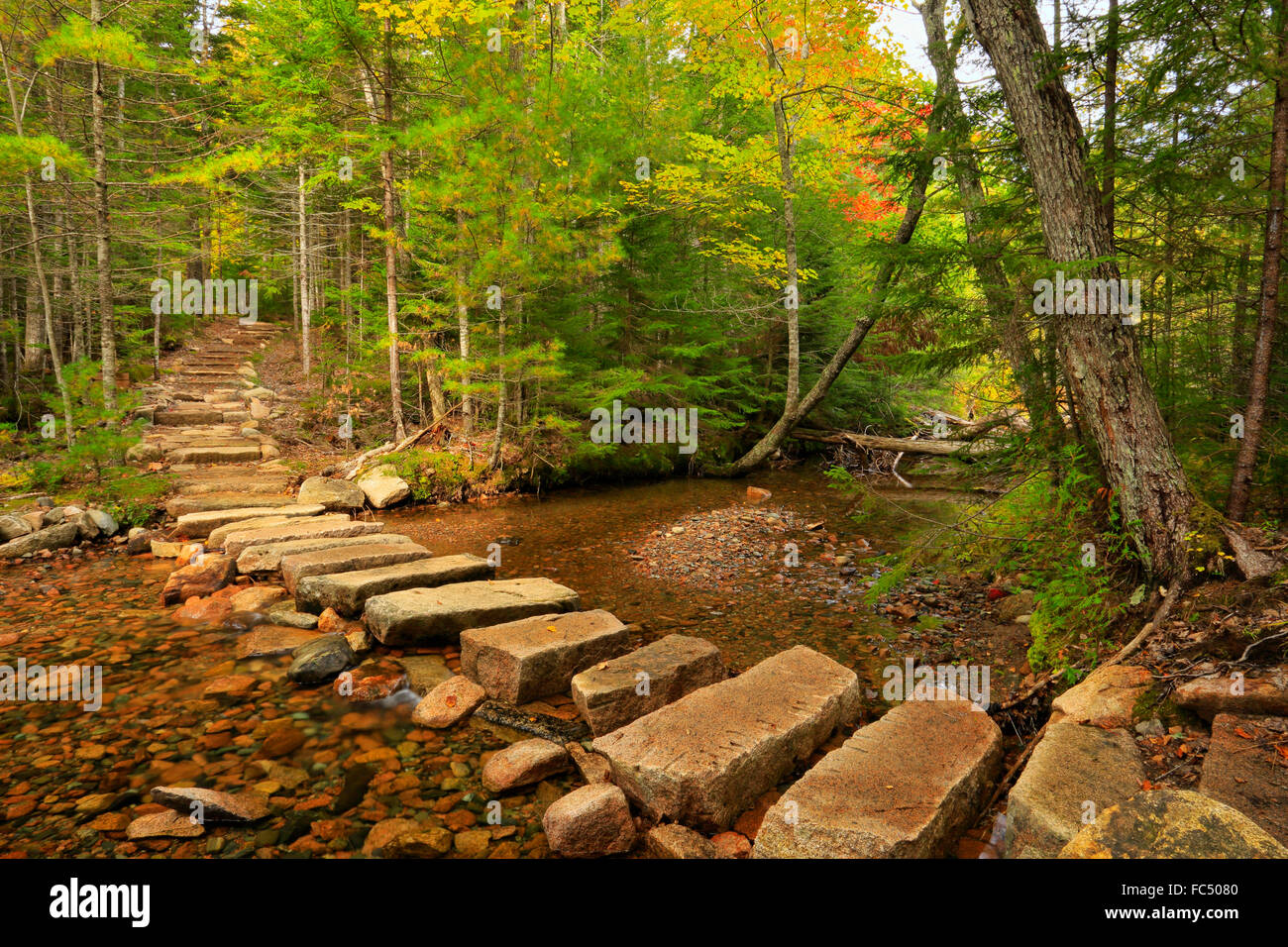 Little Harbour Brook, Asticou et Sentier de l'étang de la Jordanie, l'Acadia National Park, Maine, USA Banque D'Images