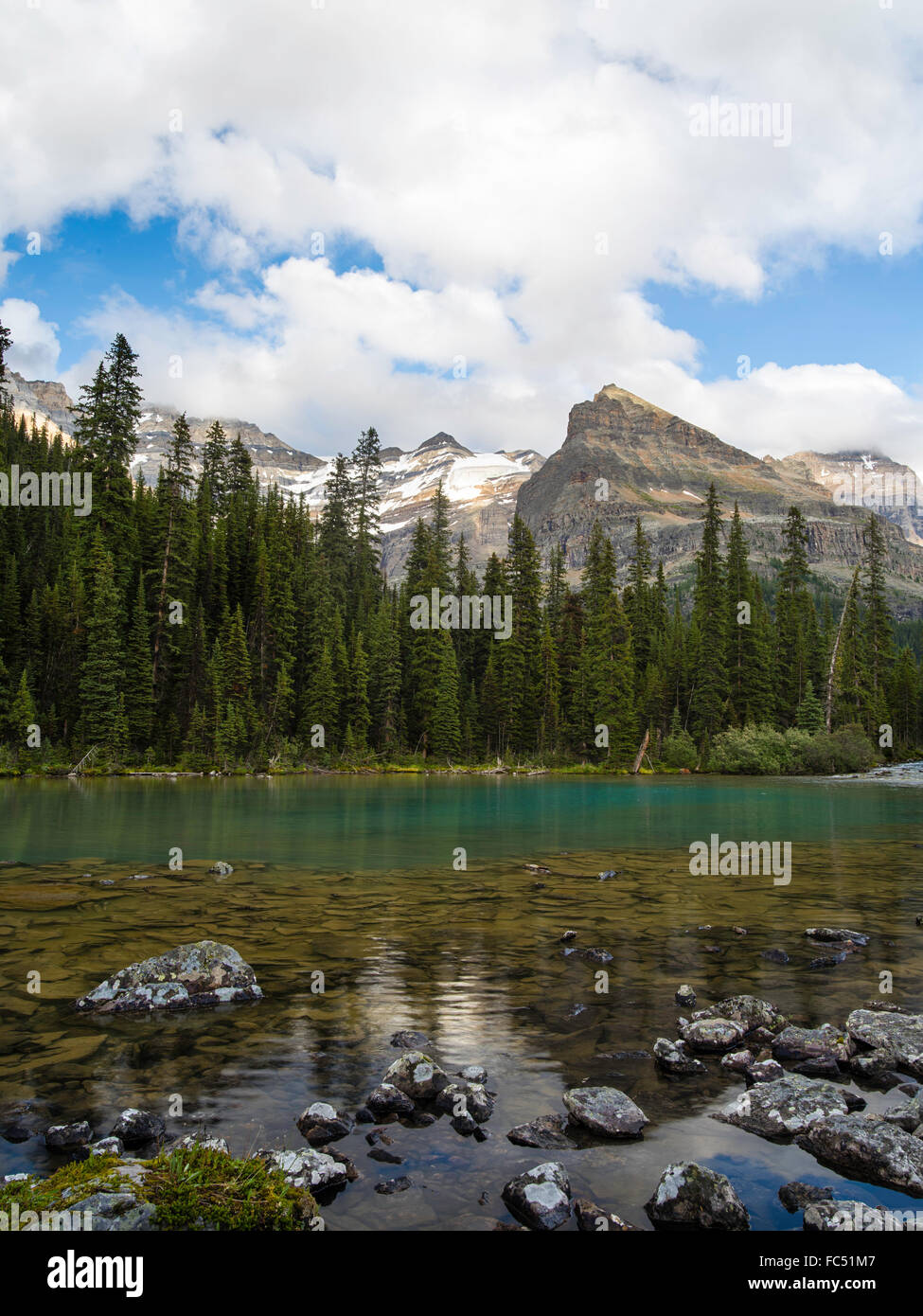 Faible angle de vue de belle, la Lake O'hara et yukness mountain en arrière-plan, dans le parc national Yoho Banque D'Images