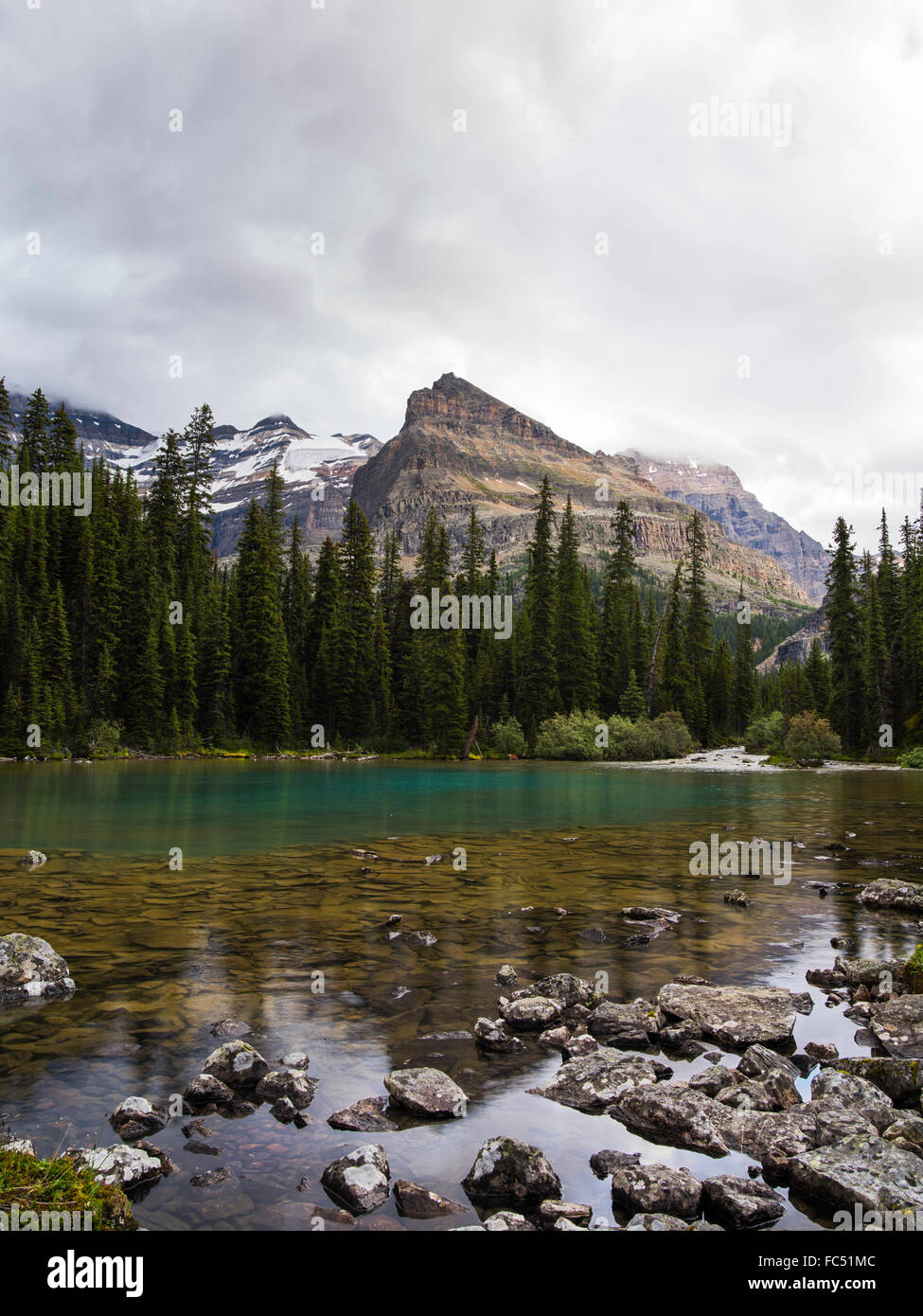 Faible angle de vue de belle, la Lake O'hara et yukness mountain en arrière-plan, dans le parc national Yoho Banque D'Images