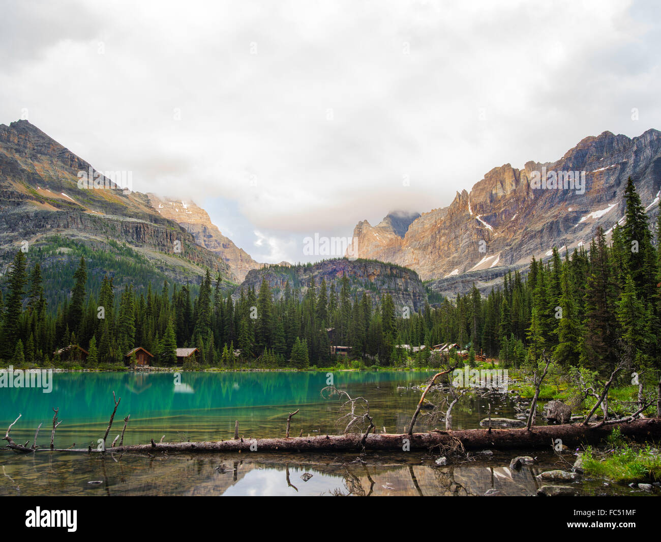 Faible angle de vue de belle, la Lake O'hara et yukness mountain (extrême gauche) à l'arrière-plan, dans le parc national Yoho Banque D'Images