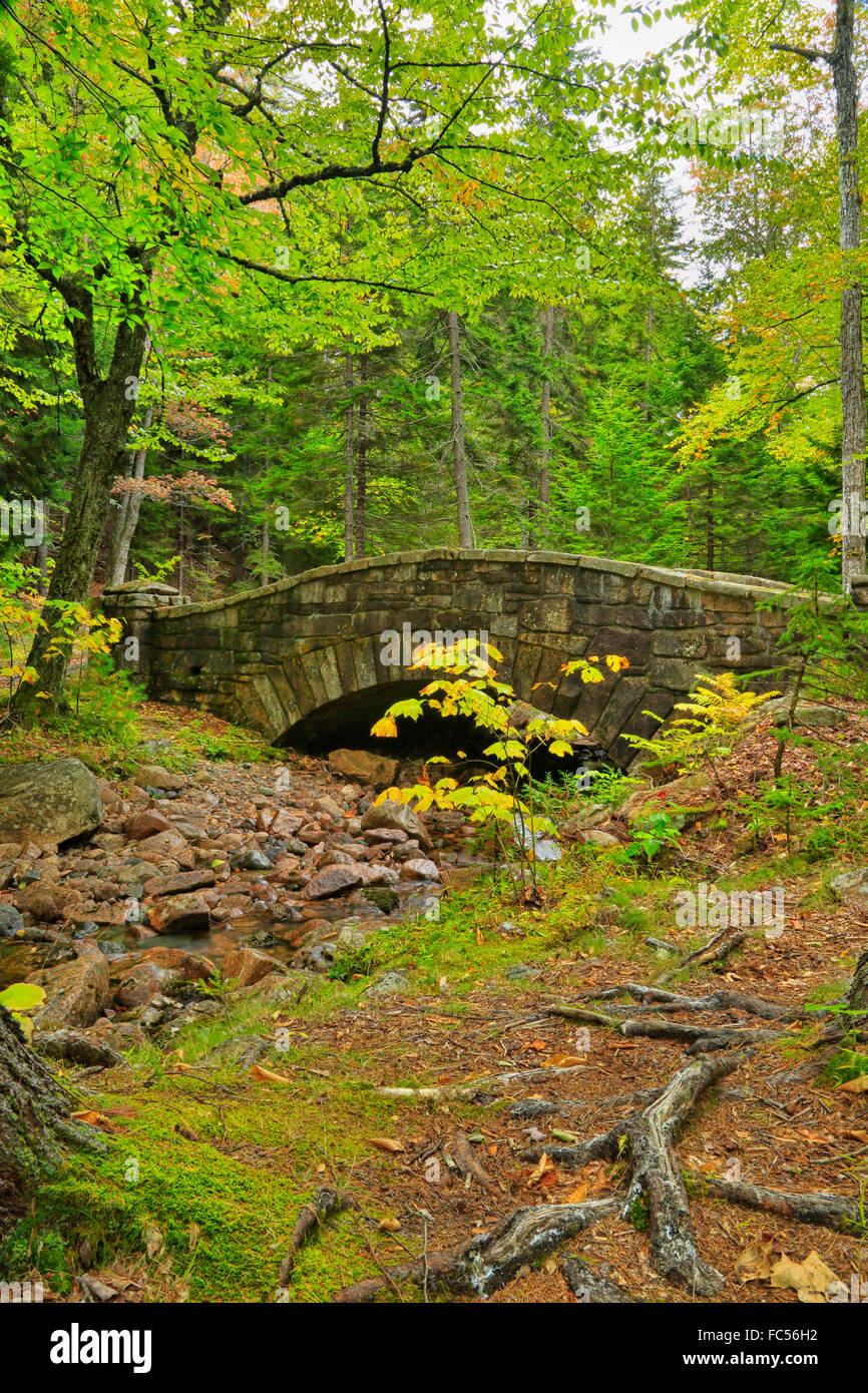 Le pont du ruisseau Little Harbour, amphithéâtre Loop Road Transport, l'Acadia National Park, Maine, USA Banque D'Images