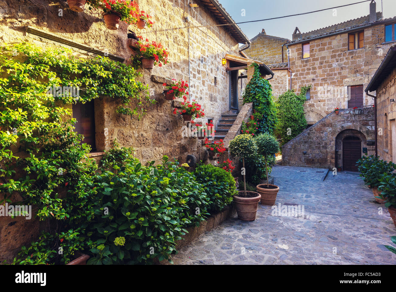 Escaliers avec des fleurs colorées dans une vieille ville de Toscane Banque D'Images