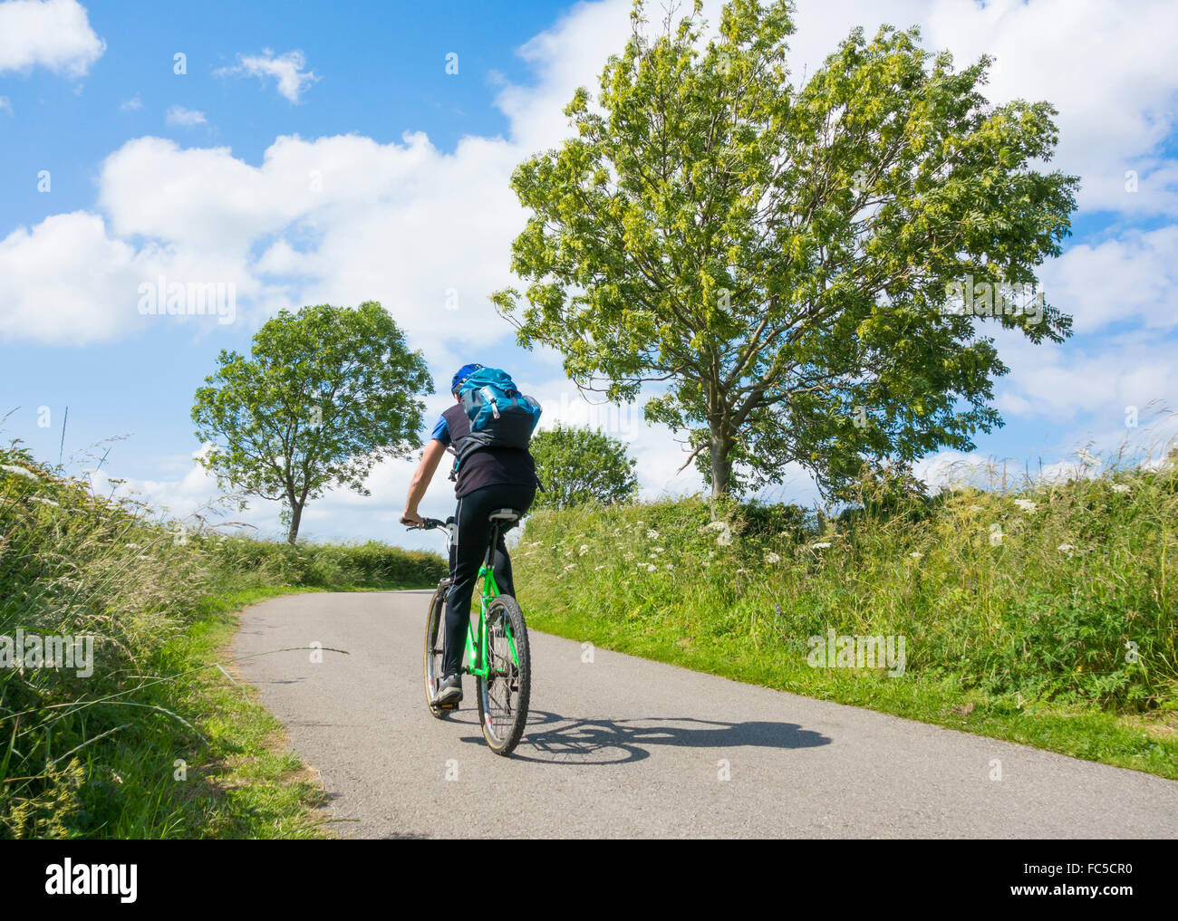 Route avec piste cyclable dans le pays avec la nature environnante Photo  Stock - Alamy
