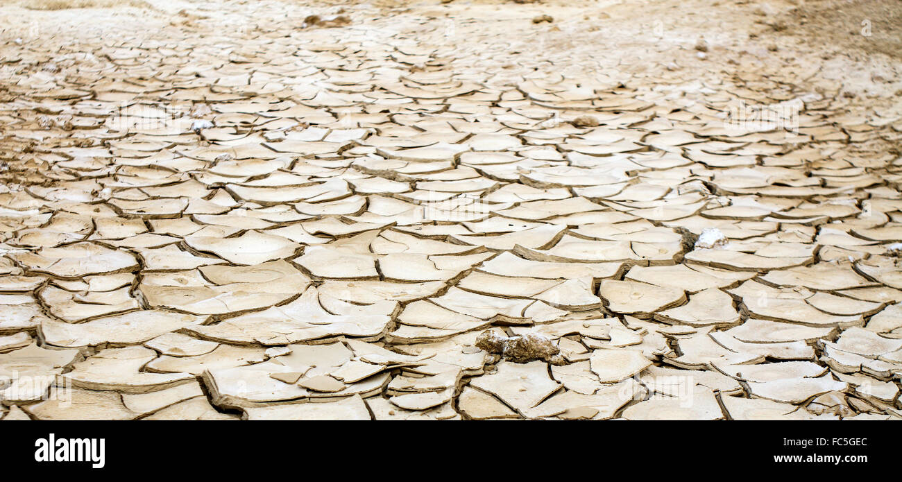 Photo de la terre sèche et crevassée . Banque D'Images