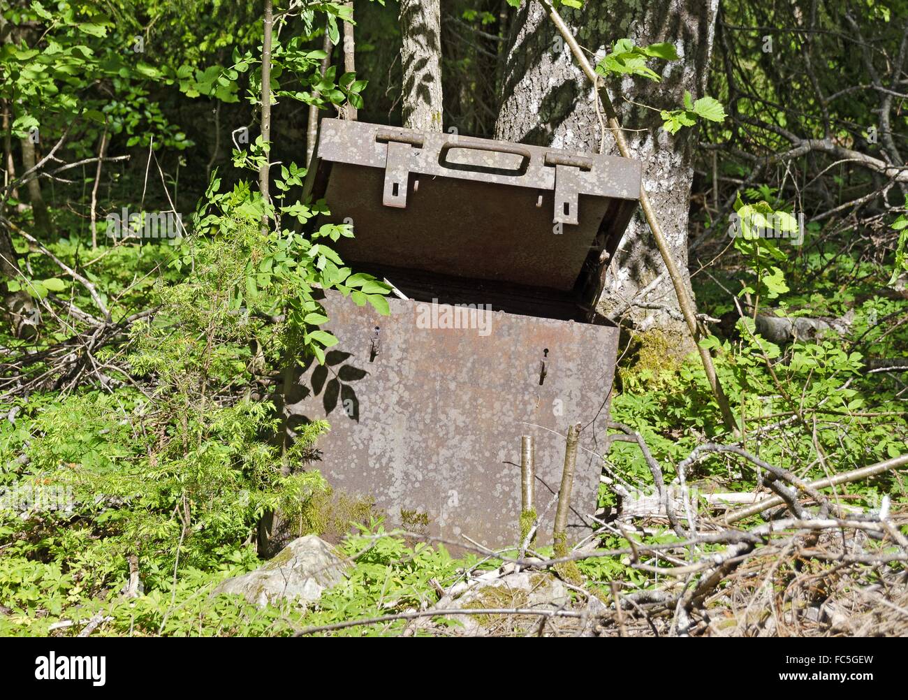 Boîtier métallique rouillée dans la forêt Banque D'Images