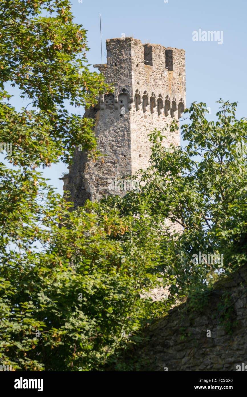 Château Schaumburg - Lookout - Autriche Banque D'Images