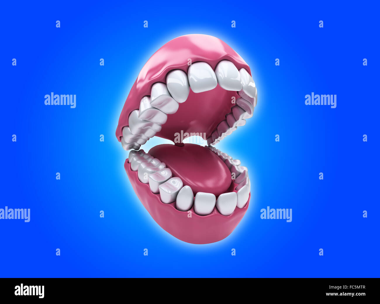 Les dents permanentes, la dentition adultes Banque D'Images