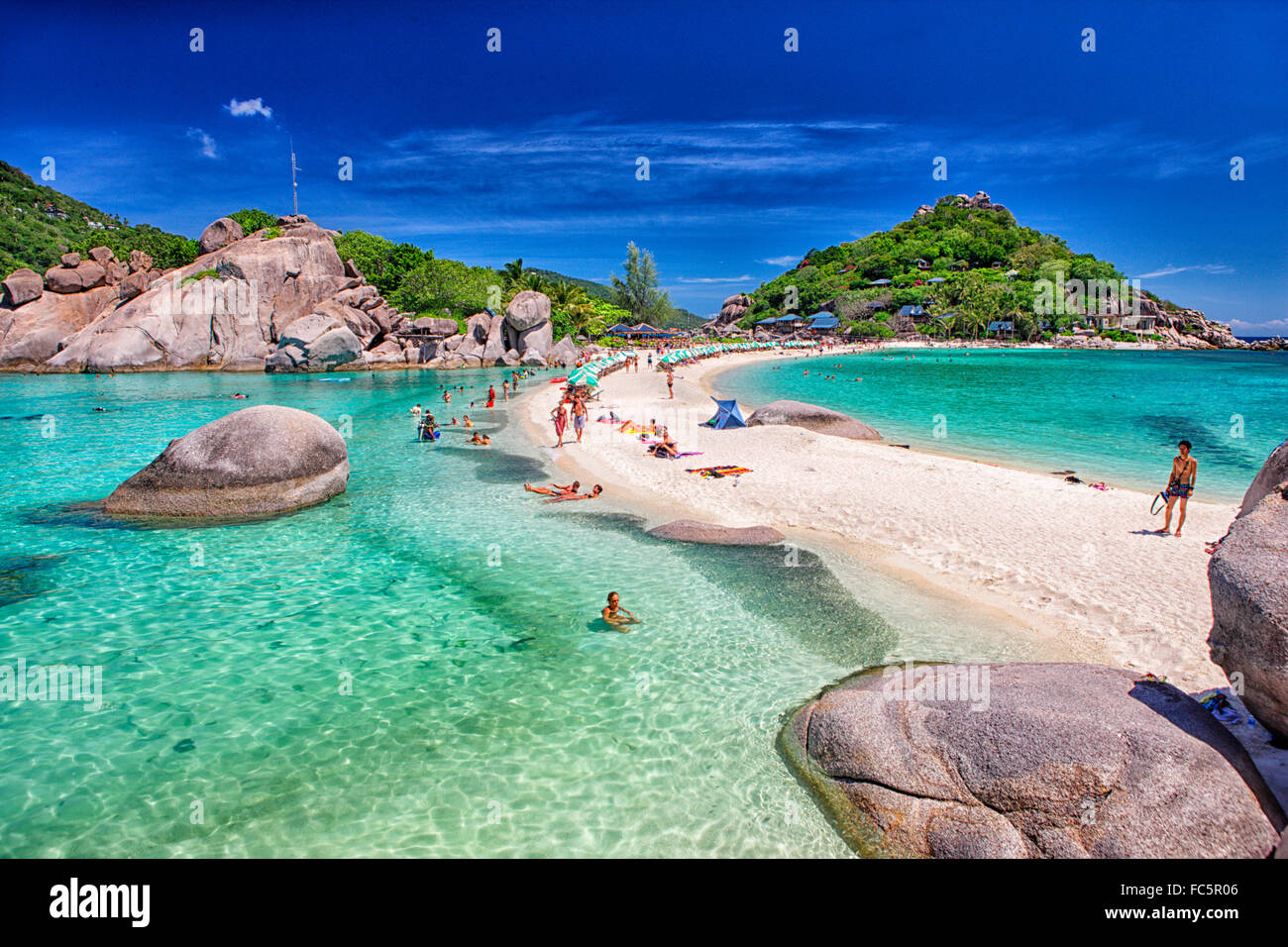 Ko Nang Yuan, île de Koh Tao, Koh Samui, Thaïlande Photo Stock Alamy