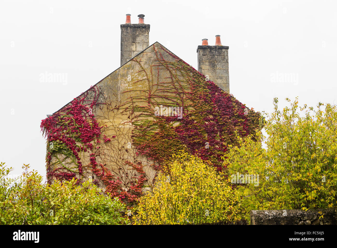 Ivy et couleurs d'automne sur chambre dans la vallée de la Loire, France Banque D'Images
