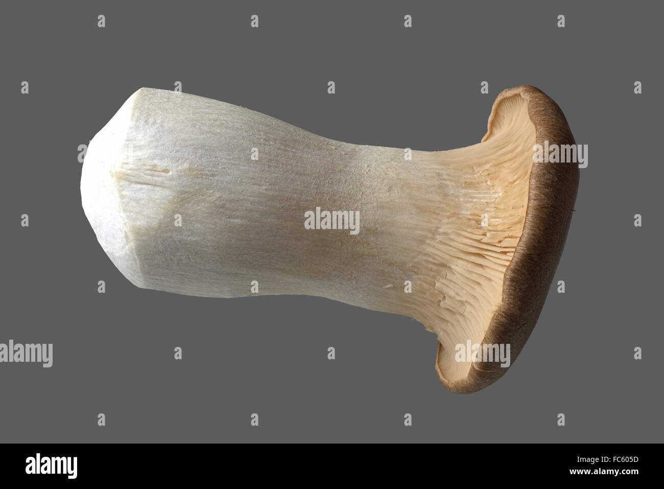 Roi pleurote Banque de photographies et d’images à haute résolution Alamy