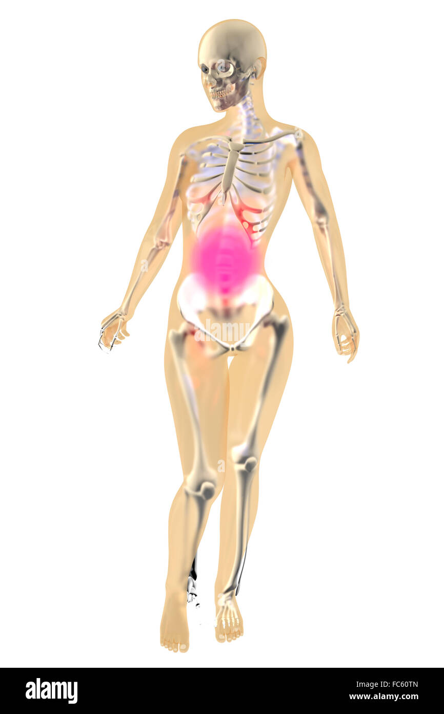 Anatomie féminine - douleur à l'estomac Banque D'Images