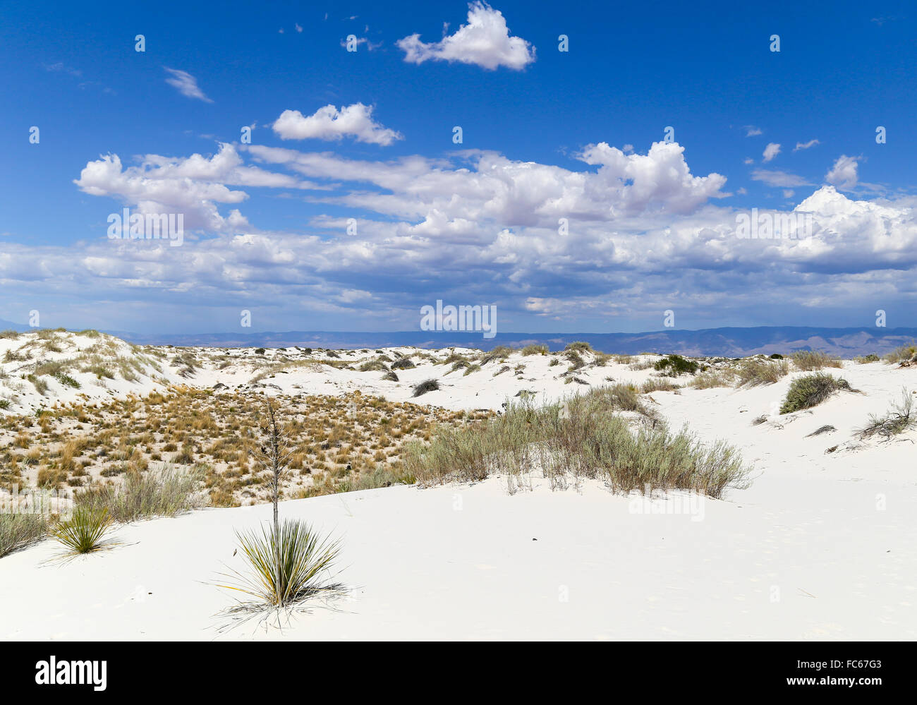 White Sands vue panoramique Banque D'Images