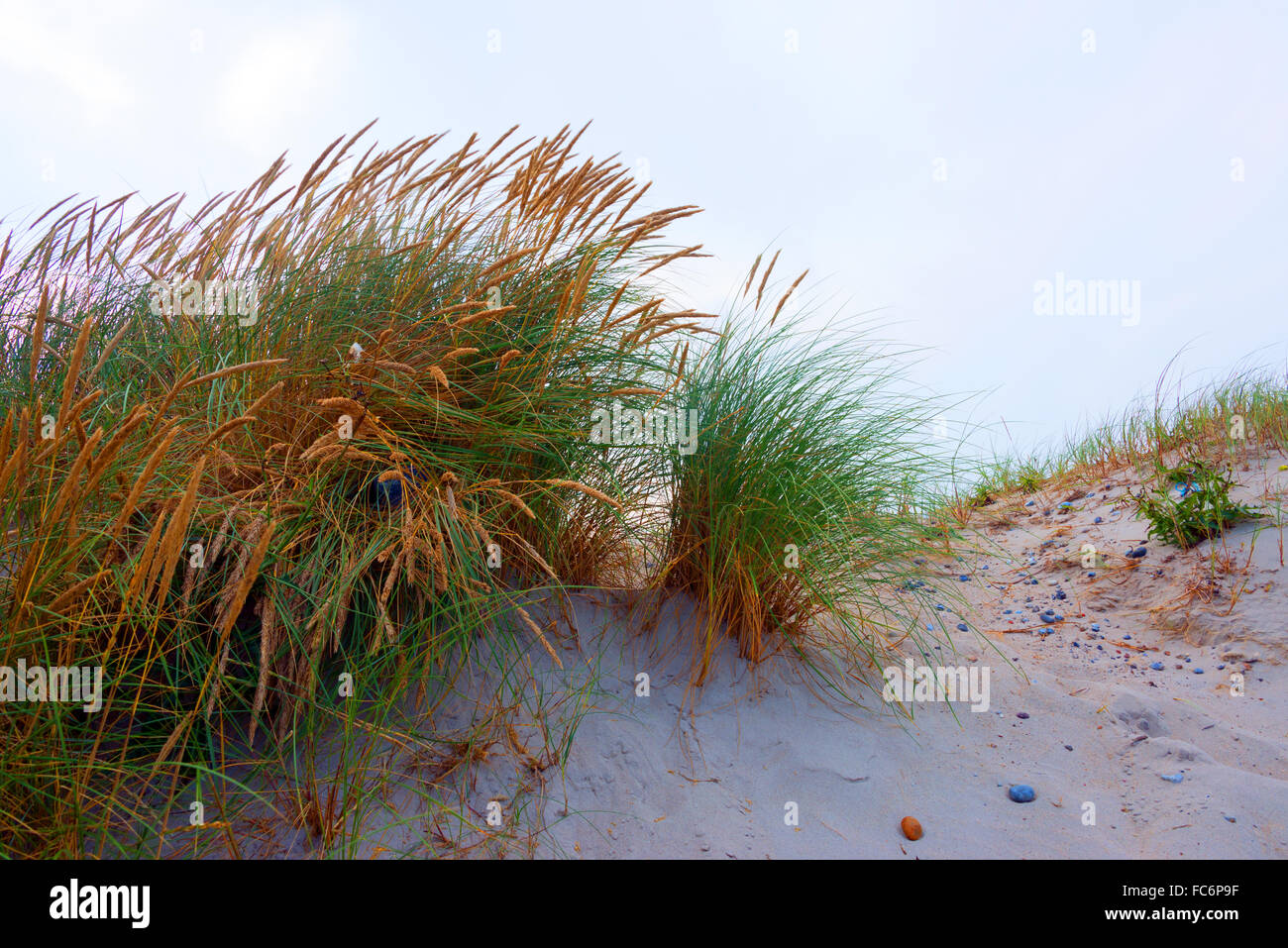 dunes Banque D'Images