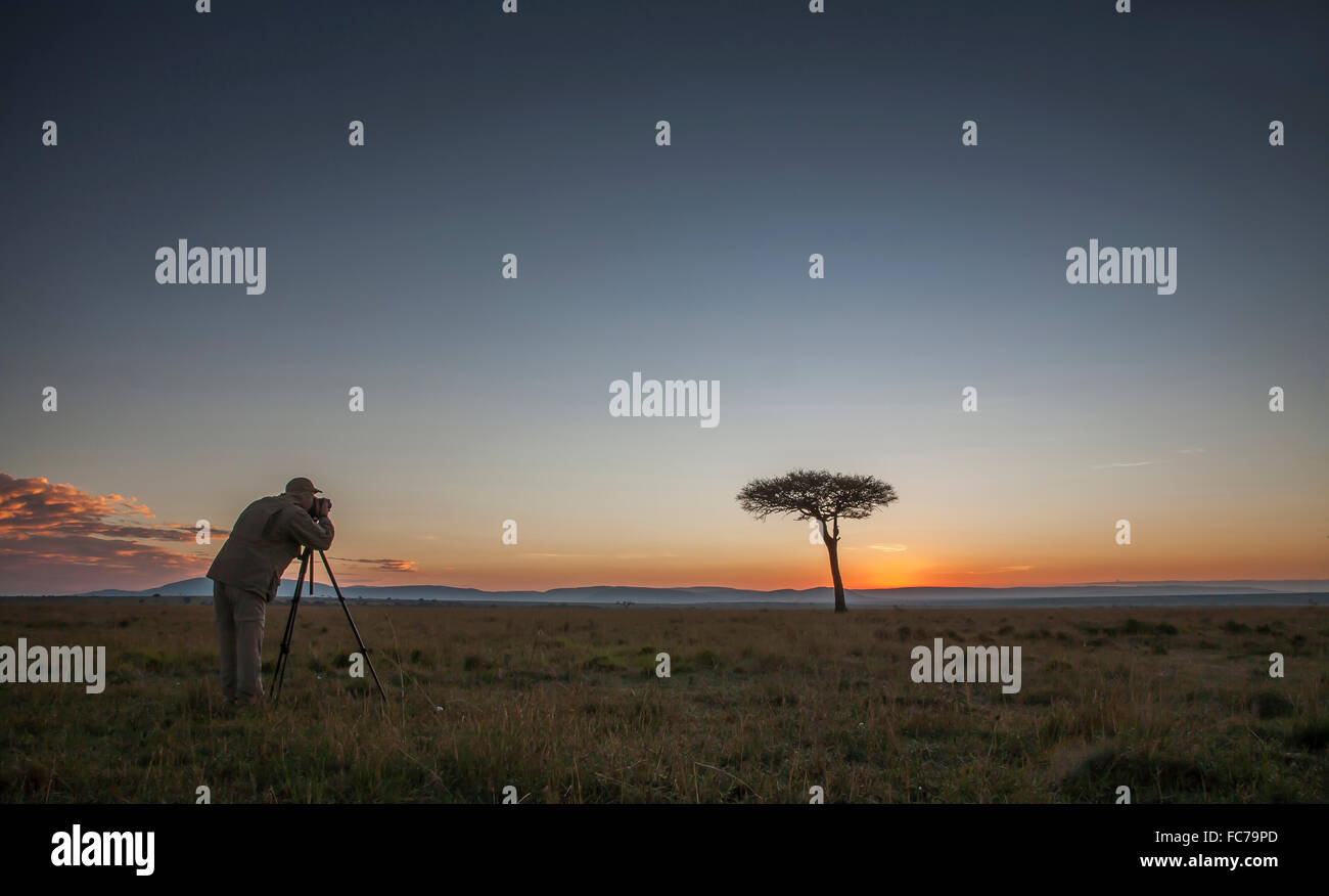 Photographe portrait photographié dans les savanes de l'arbre Banque D'Images
