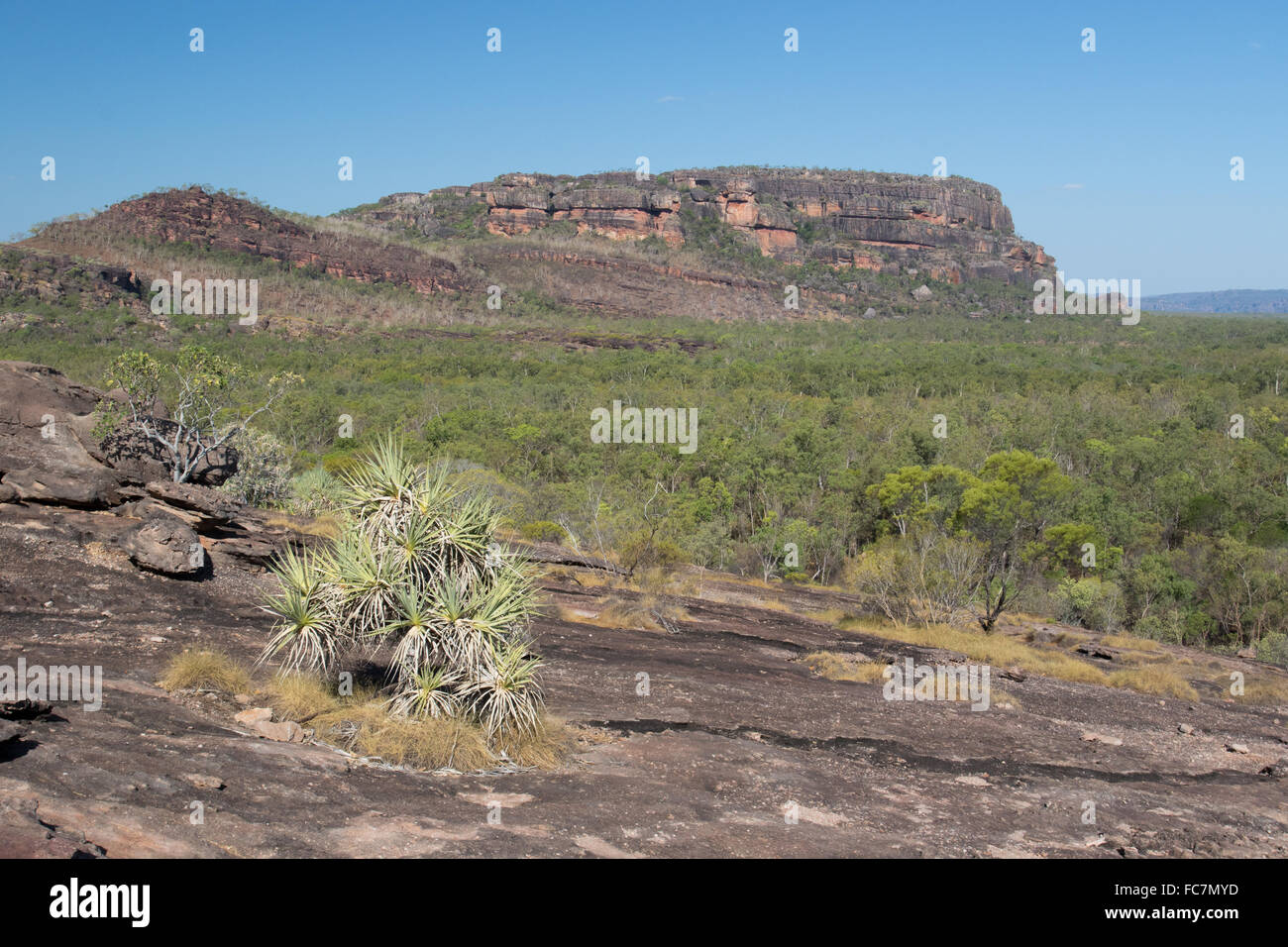 Nourlangie Rock, le Parc National de Kakadu, Australie Banque D'Images