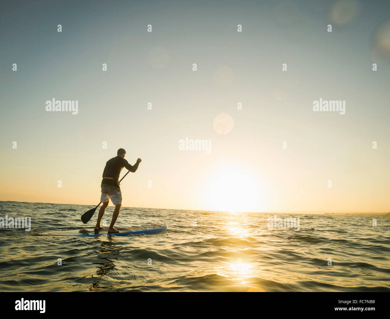 Caucasian man on paddle board in ocean Banque D'Images